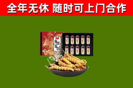 海口回收冬虫夏草价格